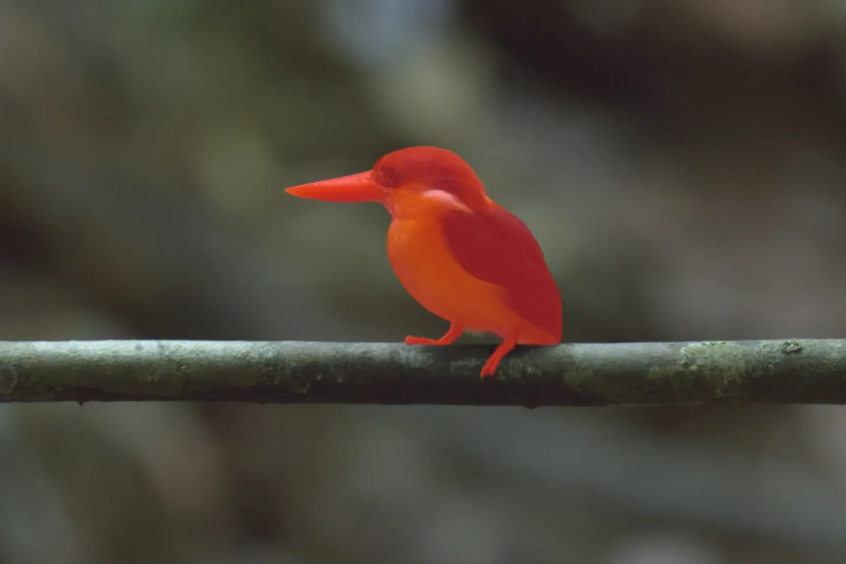 The Bird mask shown as a red overlay.
