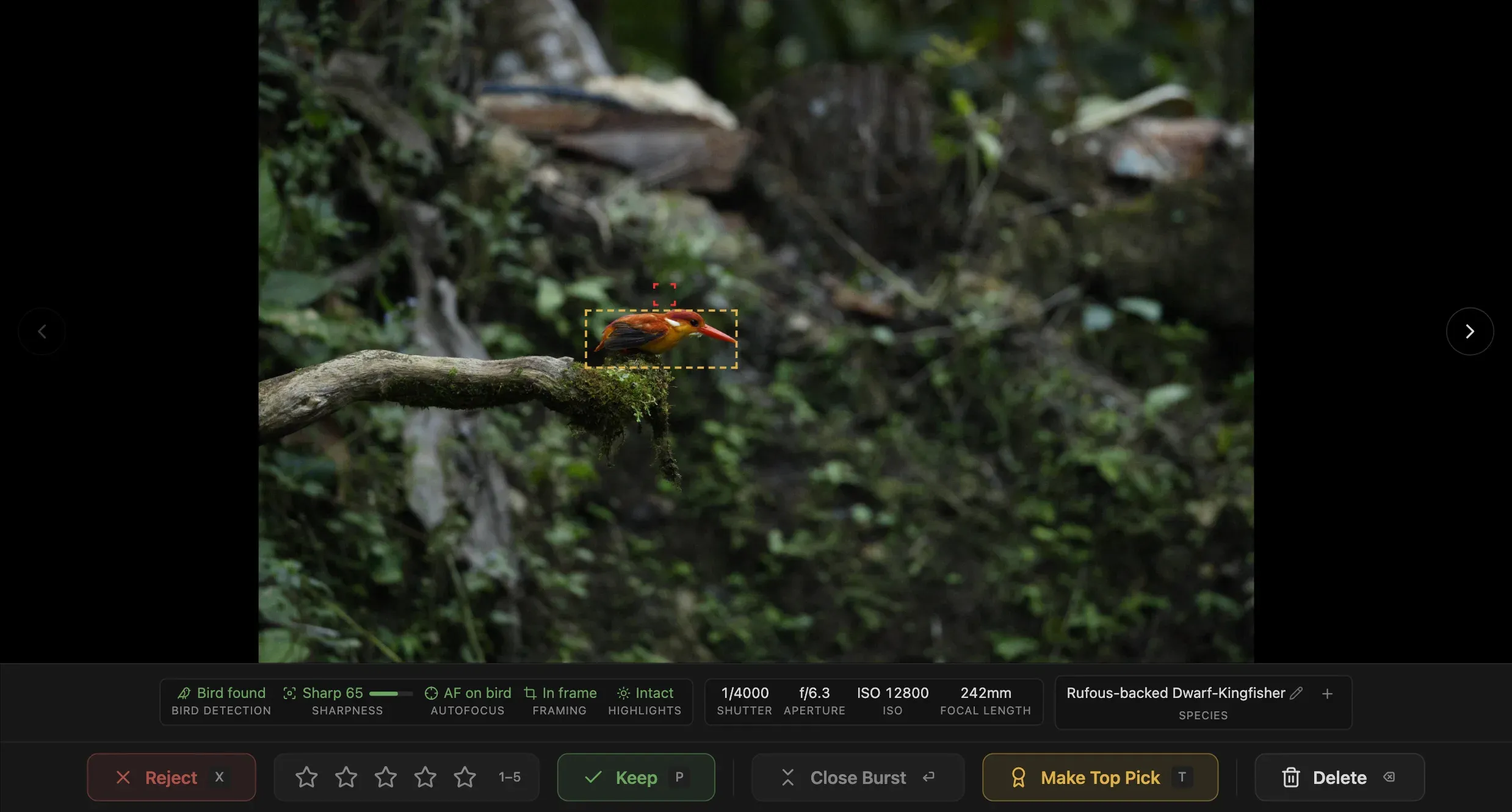 One by one view: a single photo full size, with its AI Score strip and Reject/Keep bar underneath.
